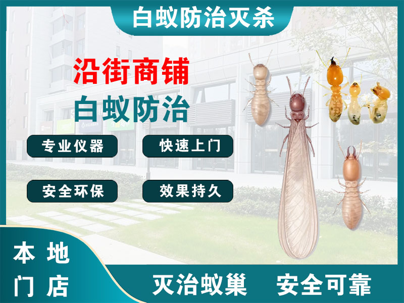 上海市沿街商铺白蚁防治