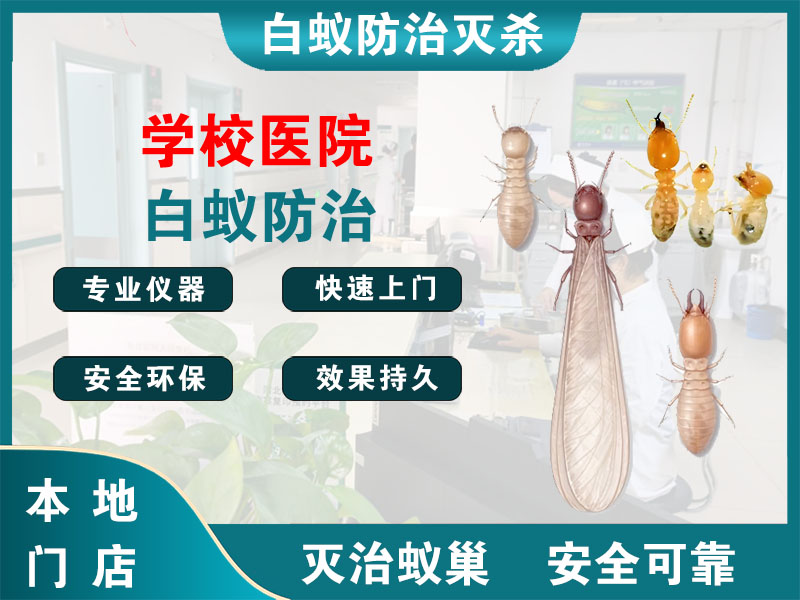 上海市学校医院白蚁防治