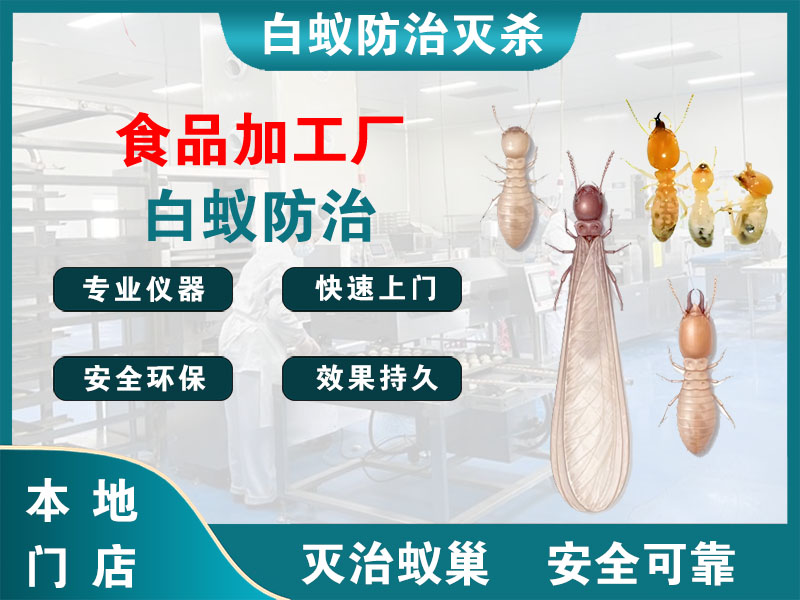 上海市食品加工厂白蚁防治