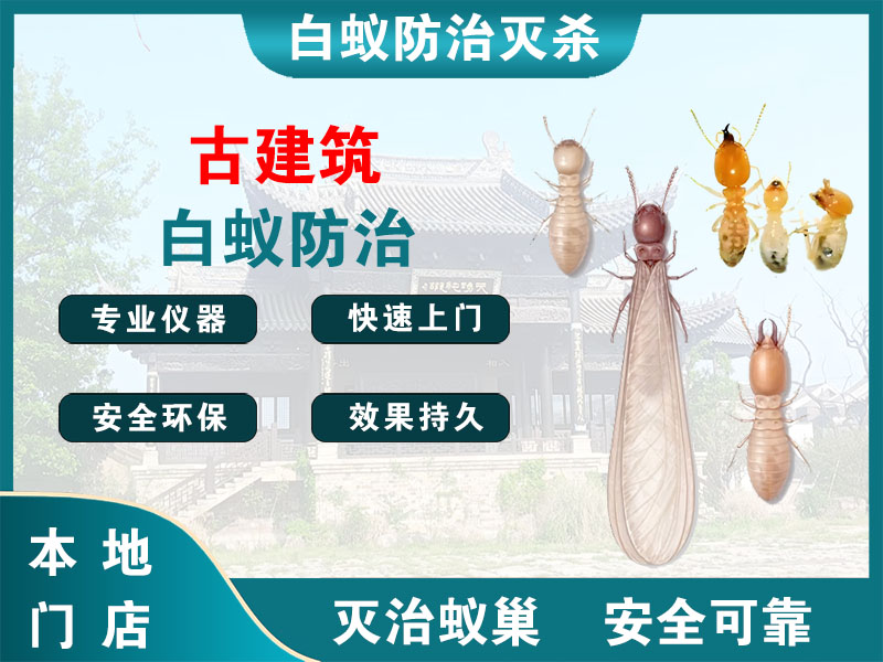 上海市古建筑白蚁防治