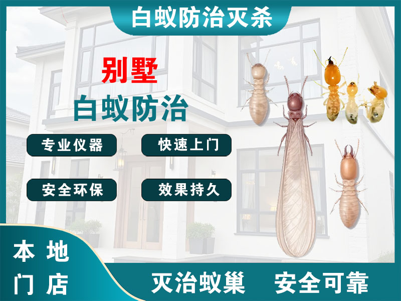 上海市别墅白蚁防治