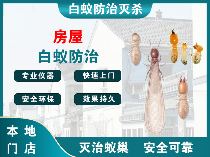 上海市房屋白蚁防治